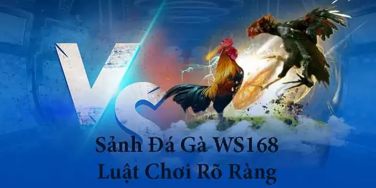 Hướng Dẫn Chi Tiết Cách Chơi Đá Gà WS168 Tại SA88 Thành Công